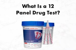 What Is a 12 Panel Drug Test?