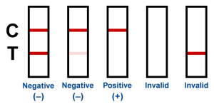 How to read a 12 panel drug test