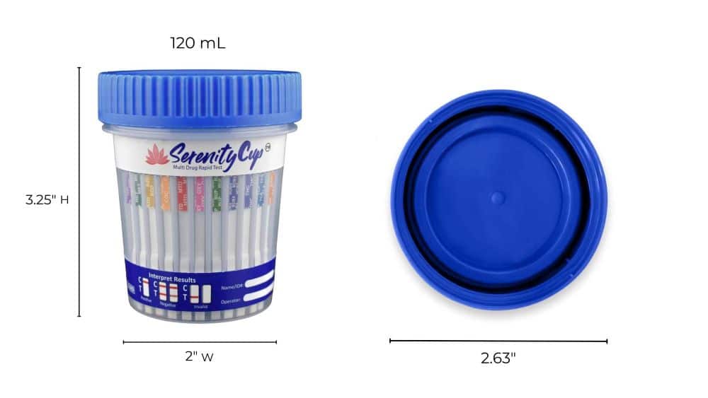 12 panel cup ADLTX dimensions