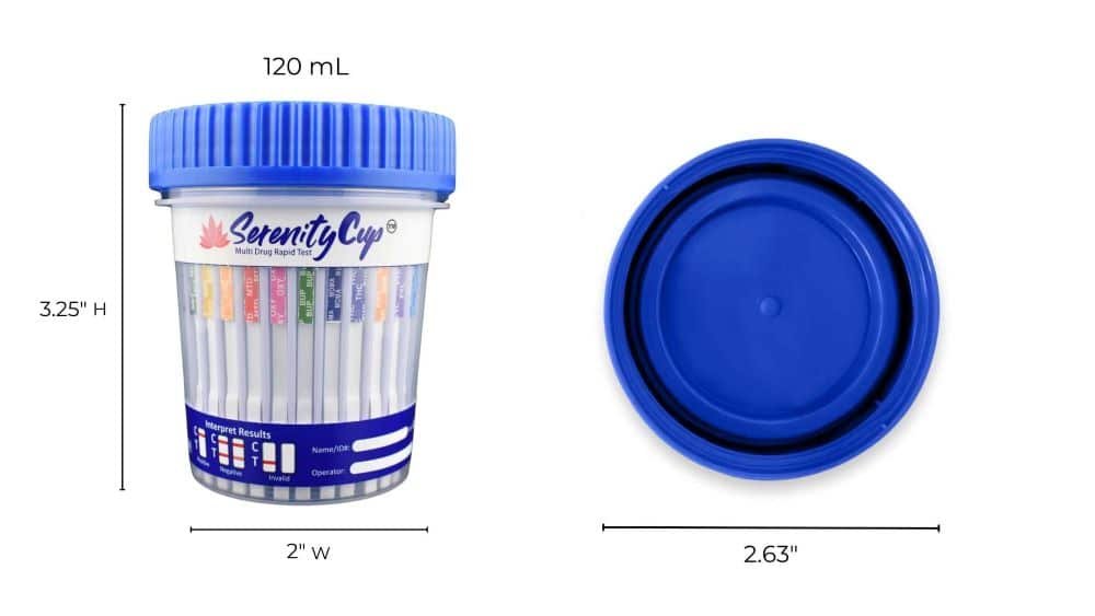 14 panel cup HCG dimensions