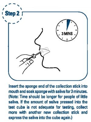 10 Panel Mouth Swab Drug Test Step 2