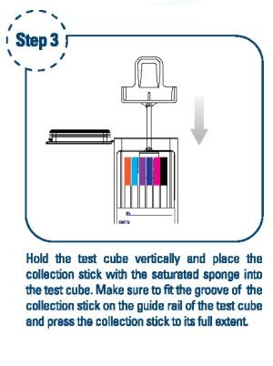 10 Panel Mouth Swab Drug Test Step 3 - 12 Panel Now