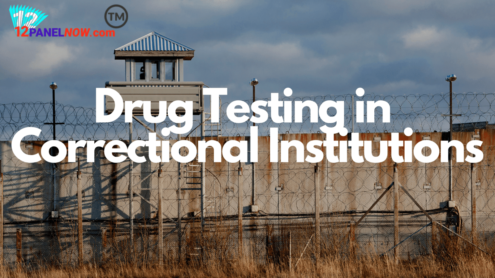Correctional Officers and Drug Use