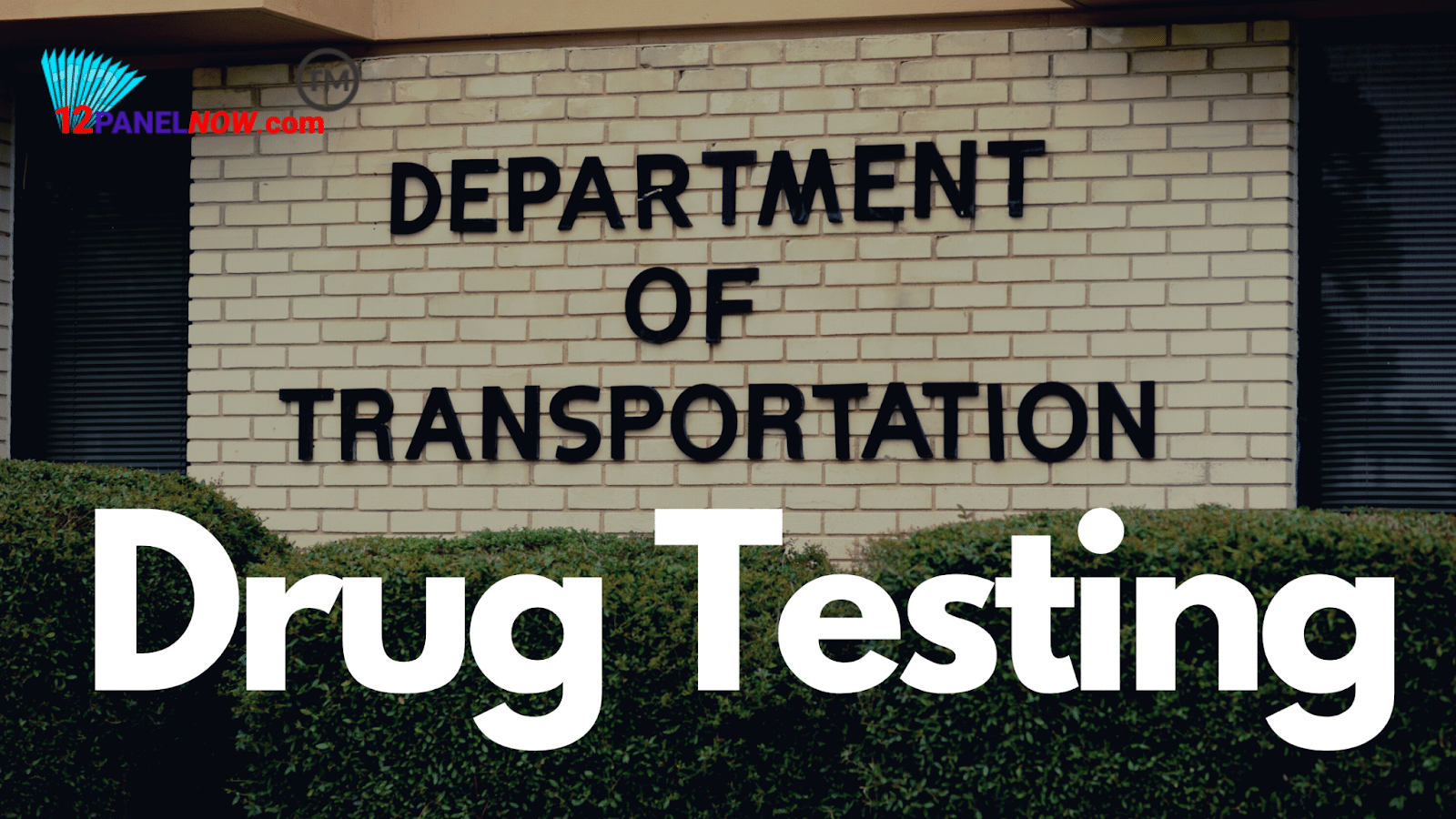 Drug Testing in Department of Transportation