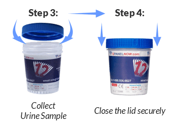 Collect Urine Sample and close the cup lid - drug testing