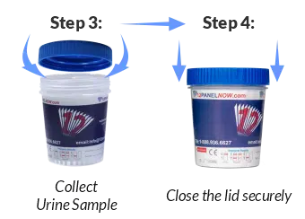 Collect Urine Sample and close the cup lid - drug testing