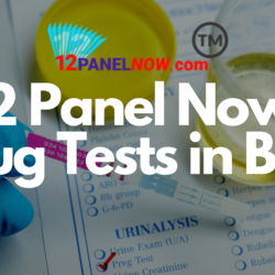 12 Panel Now Drug Test in Bulk