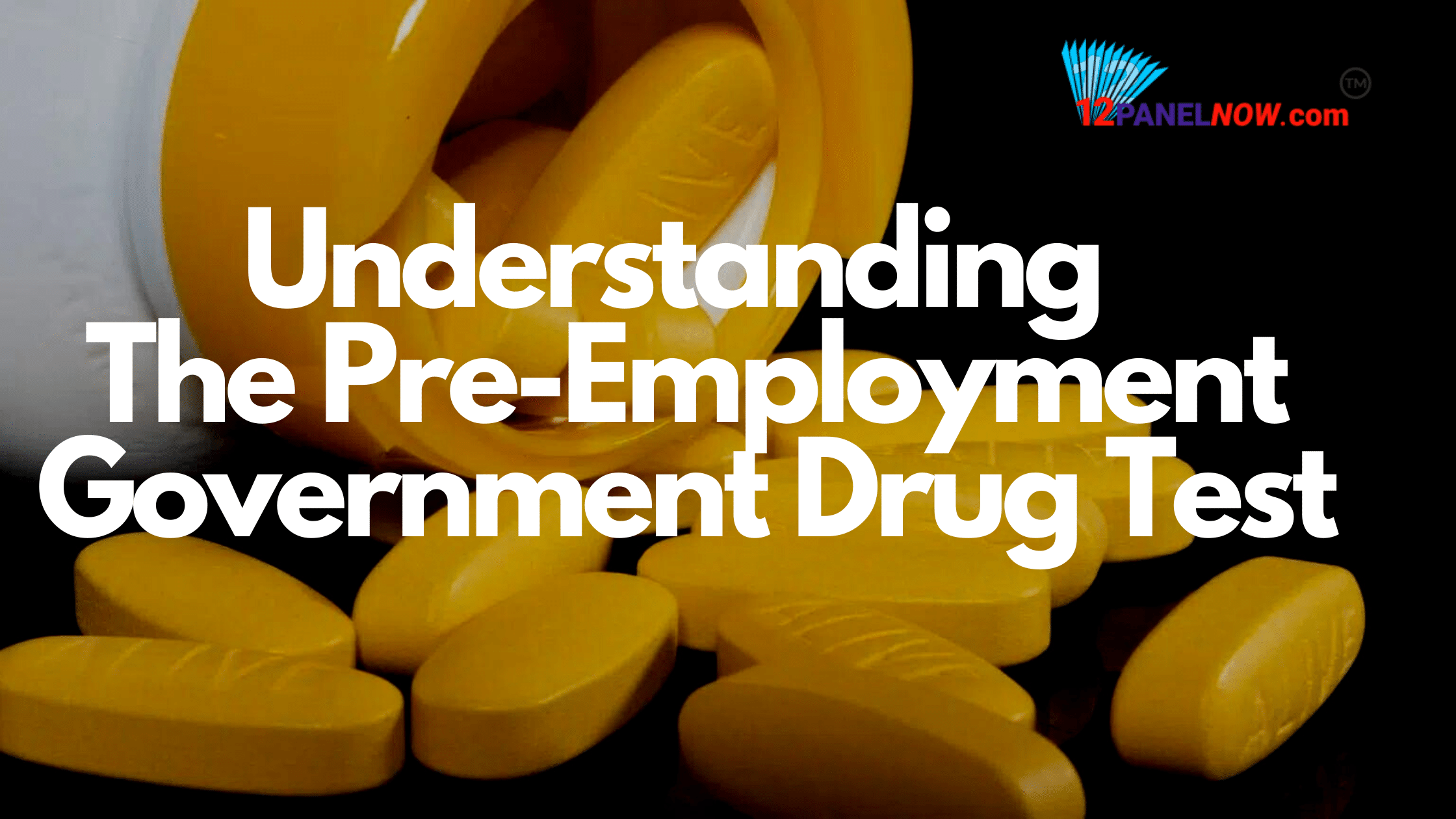 Pre-Employment Government Drug Test - 12PanelNow