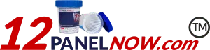 12PanelNow - Logo