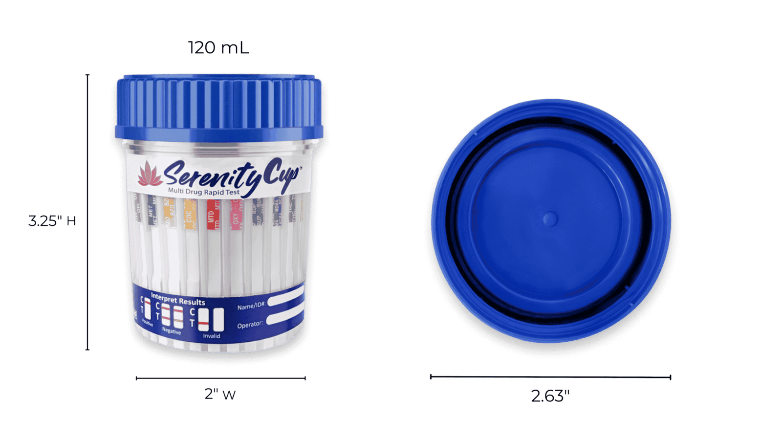 16 panel cup dimensions