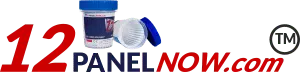 12PanelNow Logo