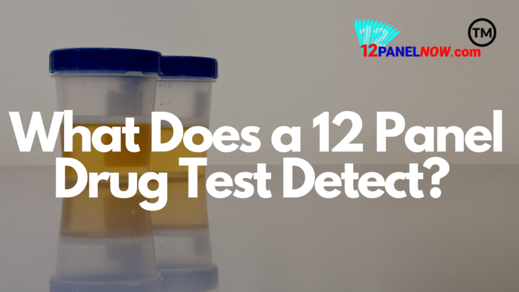 What Is a 12 Panel Drug Test