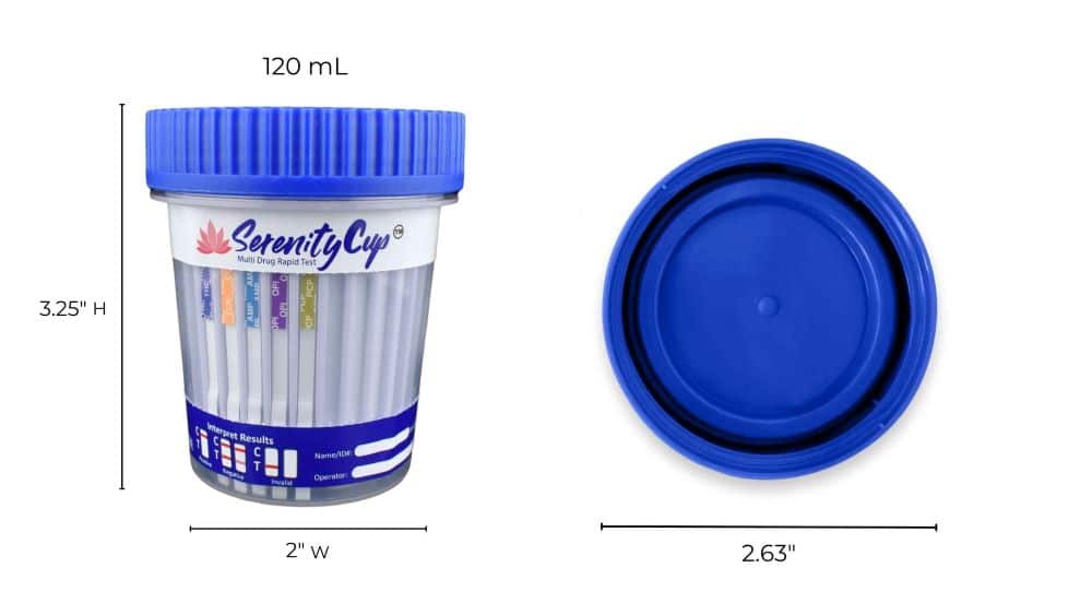 5 panel cup dimensions