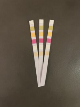 Adulteration Test Strips