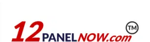 12 Panel Now - logo