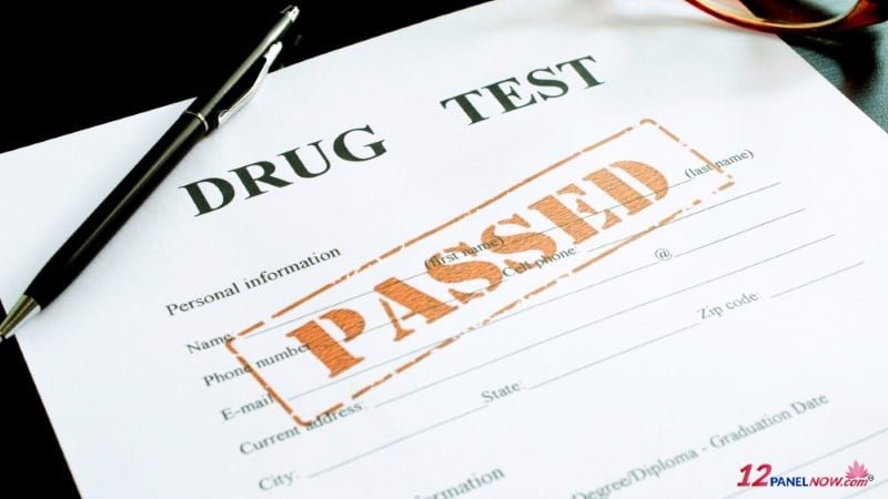 DOT drug test kit results