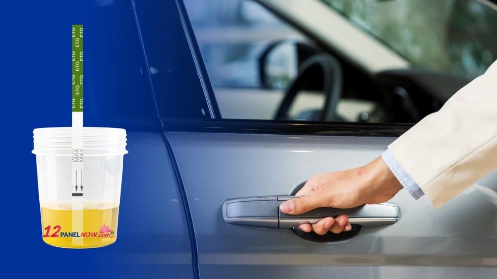 Urine Alcohol Testing: DUI and DWI Testing | 12 Panel Now