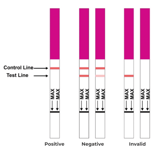 How to read Harm reduction fentanyl powder test strups