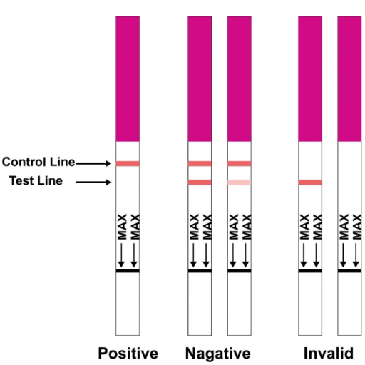 How to read Harm reduction fentanyl powder test strups