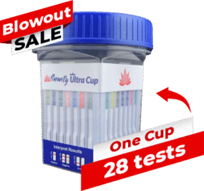 28 Panel Blowout Sale