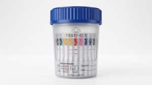 How Long Do Drugs Stay in Your System on a 12 Panel Urine Test?